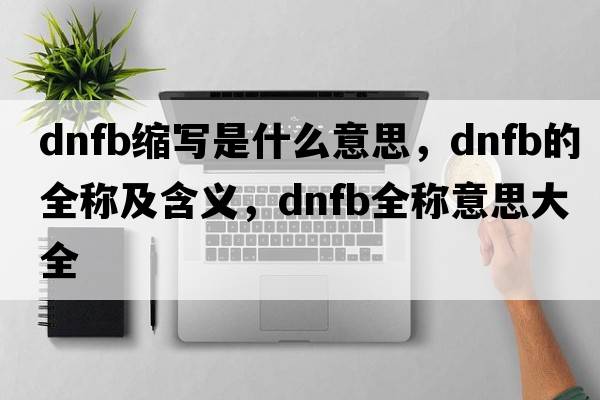 dnfb縮寫(xiě)是什么意思，dnfb的全稱(chēng)及含義，dnfb全稱(chēng)意思大全