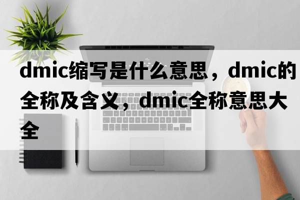 dmic縮寫(xiě)是什么意思，dmic的全稱(chēng)及含義，dmic全稱(chēng)意思大全
