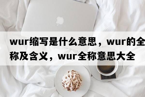wur縮寫(xiě)是什么意思，wur的全稱(chēng)及含義，wur全稱(chēng)意思大全