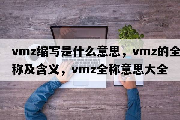 vmz縮寫(xiě)是什么意思，vmz的全稱(chēng)及含義，vmz全稱(chēng)意思大全