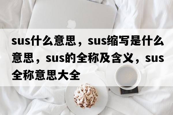 sus什么意思，sus縮寫(xiě)是什么意思，sus的全稱(chēng)及含義，sus全稱(chēng)意思大全