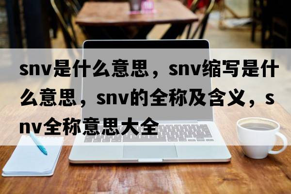 snv是什么意思，snv縮寫(xiě)是什么意思，snv的全稱(chēng)及含義，snv全稱(chēng)意思大全