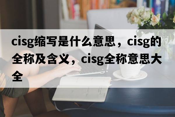 cisg縮寫(xiě)是什么意思，cisg的全稱(chēng)及含義，cisg全稱(chēng)意思大全
