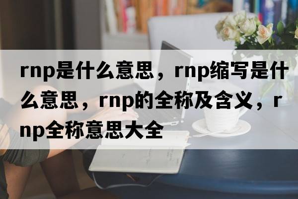 rnp是什么意思，rnp縮寫(xiě)是什么意思，rnp的全稱(chēng)及含義，rnp全稱(chēng)意思大全