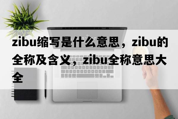 zibu縮寫(xiě)是什么意思，zibu的全稱(chēng)及含義，zibu全稱(chēng)意思大全