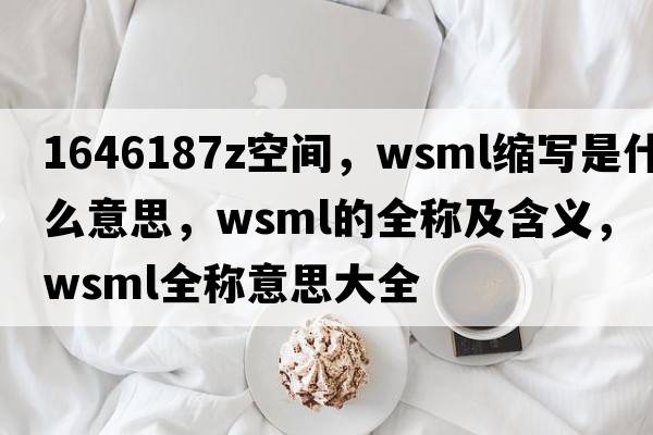 1646187Z空間，wsml縮寫(xiě)是什么意思，wsml的全稱(chēng)及含義，wsml全稱(chēng)意思大全
