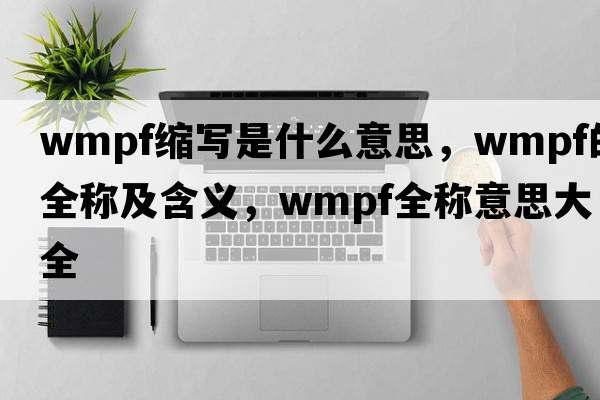 wmpf縮寫(xiě)是什么意思，wmpf的全稱(chēng)及含義，wmpf全稱(chēng)意思大全
