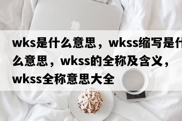 wks是什么意思，wkss縮寫(xiě)是什么意思，wkss的全稱(chēng)及含義，wkss全稱(chēng)意思大全