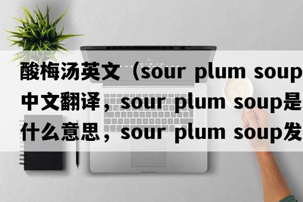 酸梅湯英文（sour plum soup中文翻譯，sour plum soup是什么意思，sour plum soup發(fā)音、用法及例句）