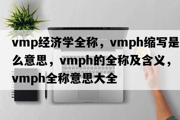 vmp經(jīng)濟學(xué)全稱(chēng)，vmph縮寫(xiě)是什么意思，vmph的全稱(chēng)及含義，vmph全稱(chēng)意思大全