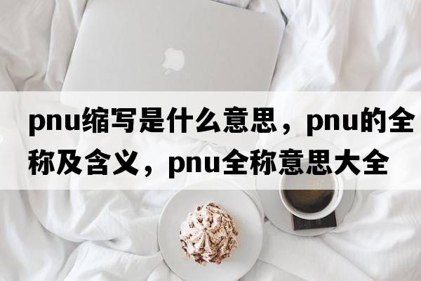 pnu縮寫(xiě)是什么意思，pnu的全稱(chēng)及含義，pnu全稱(chēng)意思大全