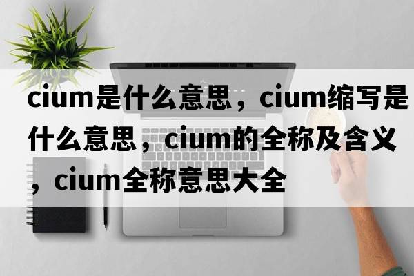 cium是什么意思，cium縮寫(xiě)是什么意思，cium的全稱(chēng)及含義，cium全稱(chēng)意思大全