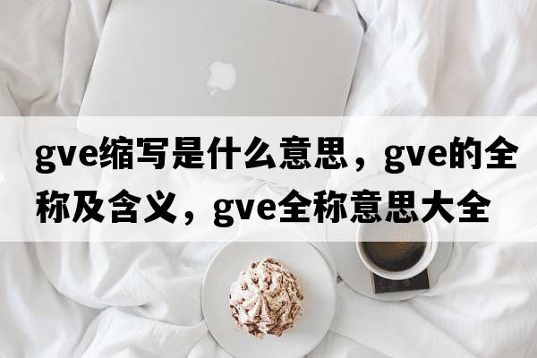 gve縮寫(xiě)是什么意思，gve的全稱(chēng)及含義，gve全稱(chēng)意思大全