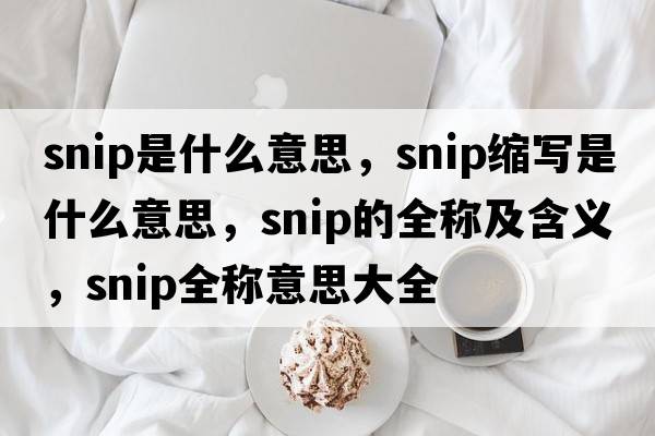 snip是什么意思，snip縮寫(xiě)是什么意思，snip的全稱(chēng)及含義，snip全稱(chēng)意思大全