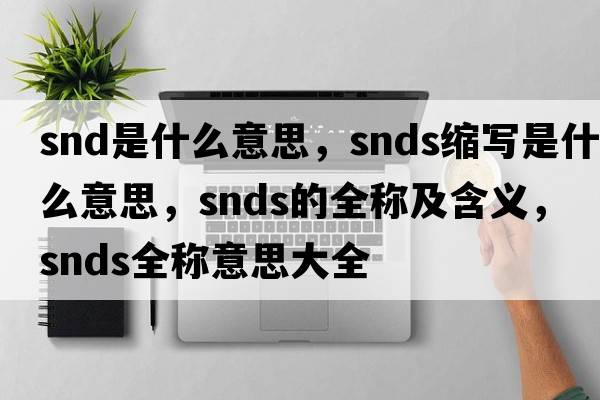 snd是什么意思，snds縮寫(xiě)是什么意思，snds的全稱(chēng)及含義，snds全稱(chēng)意思大全