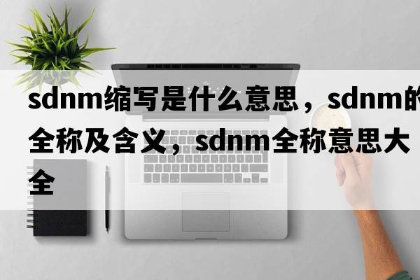 sdnm縮寫(xiě)是什么意思，sdnm的全稱(chēng)及含義，sdnm全稱(chēng)意思大全