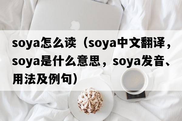 soya怎么讀（soya中文翻譯，soya是什么意思，soya發(fā)音、用法及例句）