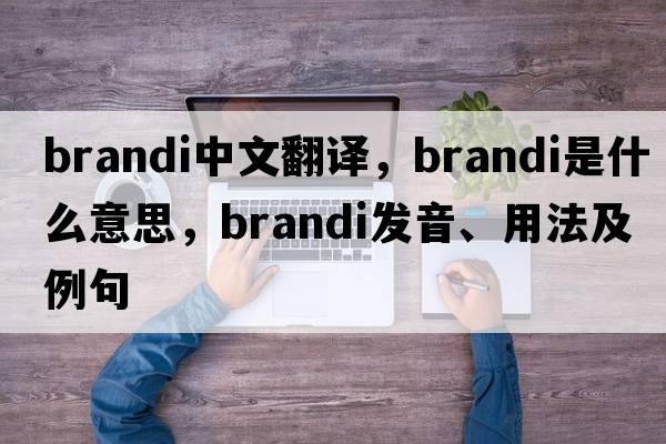 Brandi中文翻譯，Brandi是什么意思，Brandi發(fā)音、用法及例句