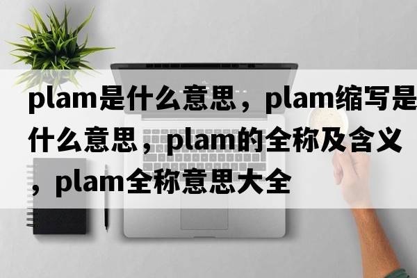 plam是什么意思，plam縮寫(xiě)是什么意思，plam的全稱(chēng)及含義，plam全稱(chēng)意思大全