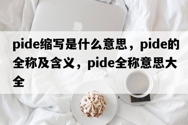 pide縮寫(xiě)是什么意思，pide的全稱(chēng)及含義，pide全稱(chēng)意思大全