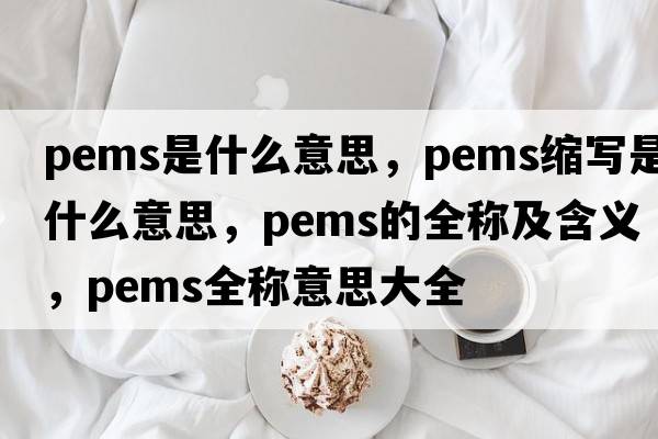 pems是什么意思，pems縮寫(xiě)是什么意思，pems的全稱(chēng)及含義，pems全稱(chēng)意思大全