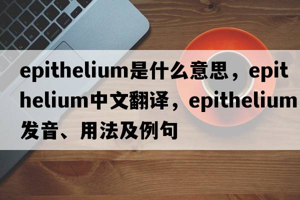 epithelium是什么意思，epithelium中文翻譯，epithelium發(fā)音、用法及例句