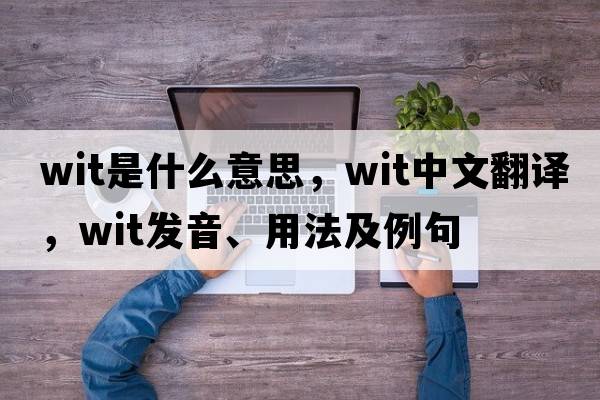 wit是什么意思，wit中文翻譯，wit發(fā)音、用法及例句