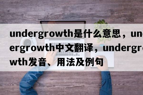 undergrowth是什么意思，undergrowth中文翻譯，undergrowth發(fā)音、用法及例句