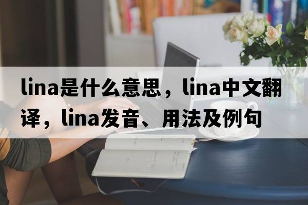 lina是什么意思，lina中文翻譯，lina發(fā)音、用法及例句