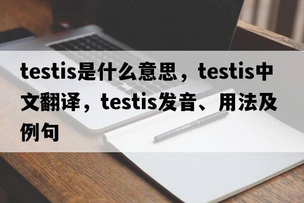 testis是什么意思，testis中文翻譯，testis發(fā)音、用法及例句