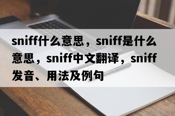 sniff什么意思，sniff是什么意思，sniff中文翻譯，sniff發(fā)音、用法及例句