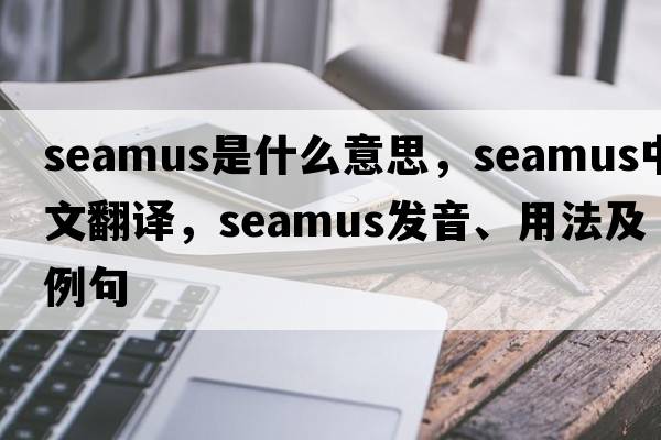 Seamus是什么意思，Seamus中文翻譯，Seamus發(fā)音、用法及例句