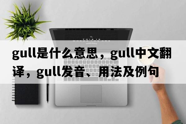 gull是什么意思，gull中文翻譯，gull發(fā)音、用法及例句