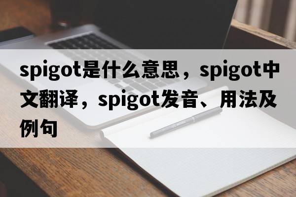 spigot是什么意思，spigot中文翻譯，spigot發(fā)音、用法及例句