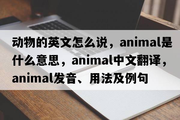 動(dòng)物的英文怎么說(shuō)，animal是什么意思，animal中文翻譯，animal發(fā)音、用法及例句