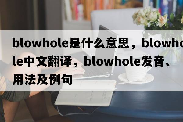 blowhole是什么意思，blowhole中文翻譯，blowhole發(fā)音、用法及例句