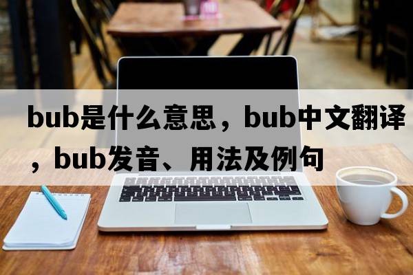 bub是什么意思，bub中文翻譯，bub發(fā)音、用法及例句