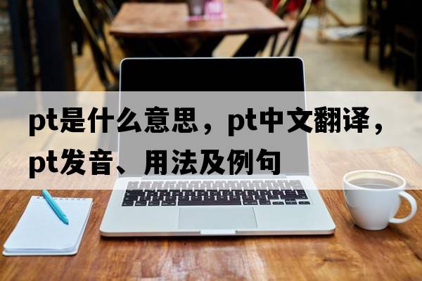PT是什么意思，PT中文翻譯，PT發(fā)音、用法及例句