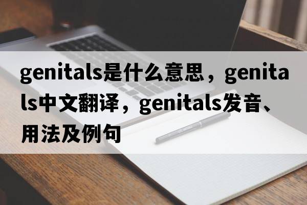 genitals是什么意思，genitals中文翻譯，genitals發(fā)音、用法及例句