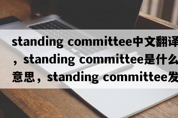 standing committee中文翻譯，standing committee是什么意思，standing committee發(fā)音、用法及例句
