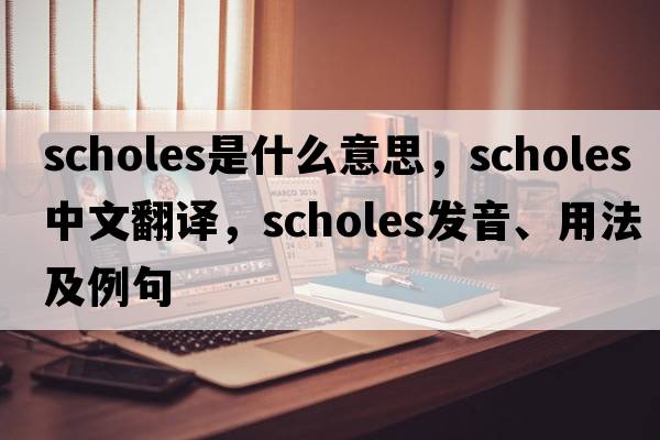 Scholes是什么意思，Scholes中文翻譯，Scholes發(fā)音、用法及例句