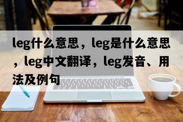 Leg什么意思，leg是什么意思，leg中文翻譯，leg發(fā)音、用法及例句