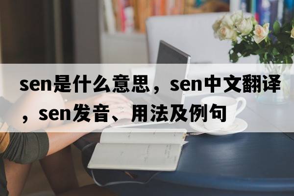 SEN是什么意思，SEN中文翻譯，SEN發(fā)音、用法及例句