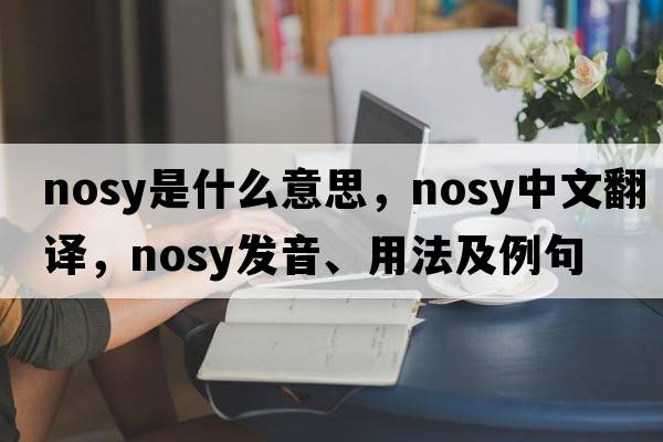 nosy是什么意思，nosy中文翻譯，nosy發(fā)音、用法及例句