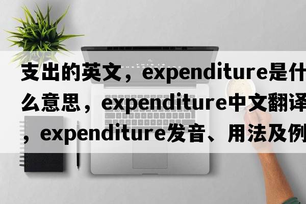 支出的英文，expenditure是什么意思，expenditure中文翻譯，expenditure發(fā)音、用法及例句