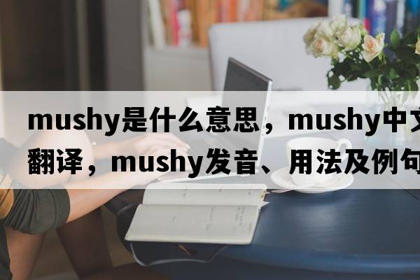 mushy是什么意思，mushy中文翻譯，mushy發(fā)音、用法及例句