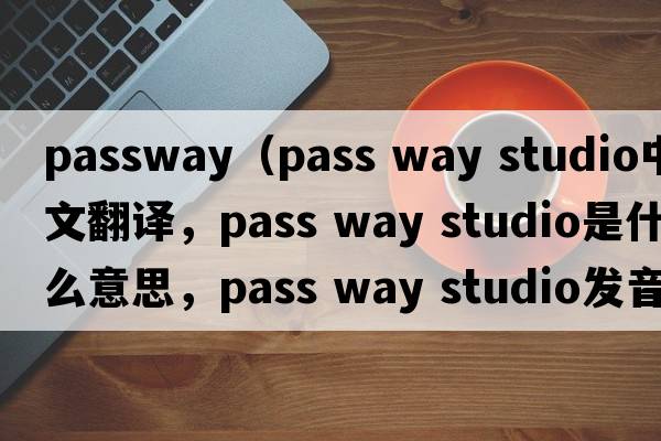 passway（pass way studio中文翻譯，pass way studio是什么意思，pass way studio發(fā)音、用法及例句）