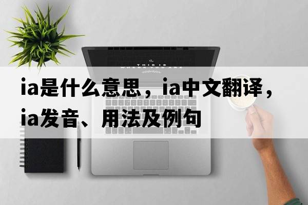 IA是什么意思，IA中文翻譯，IA發(fā)音、用法及例句