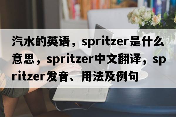 汽水的英語(yǔ)，spritzer是什么意思，spritzer中文翻譯，spritzer發(fā)音、用法及例句