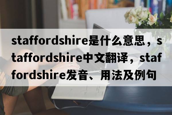 Staffordshire是什么意思，Staffordshire中文翻譯，Staffordshire發(fā)音、用法及例句